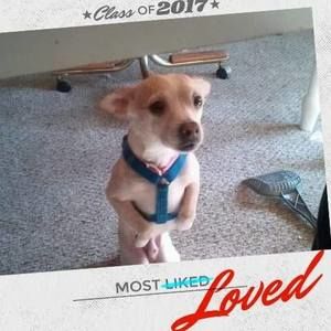 Meet your Posher, Kelsey